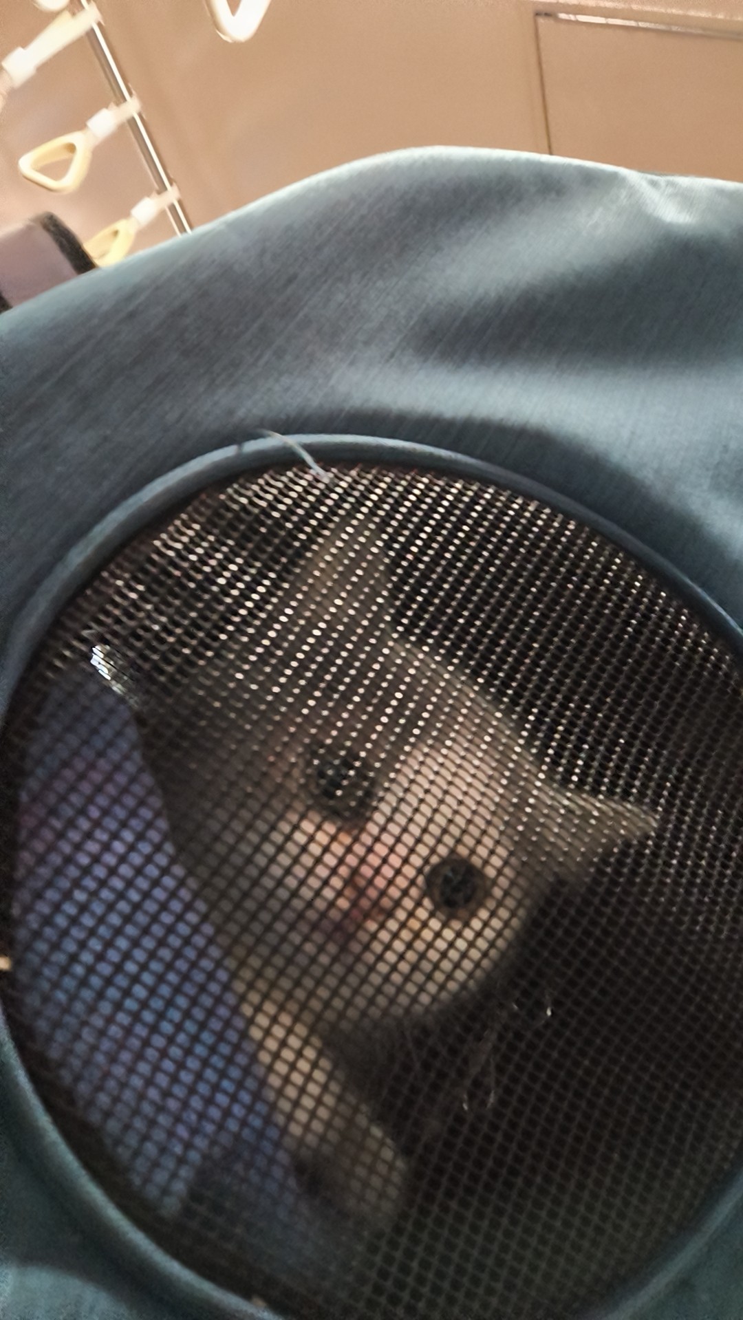 Ⓜ️浮沉🛹🐹（True❤️)