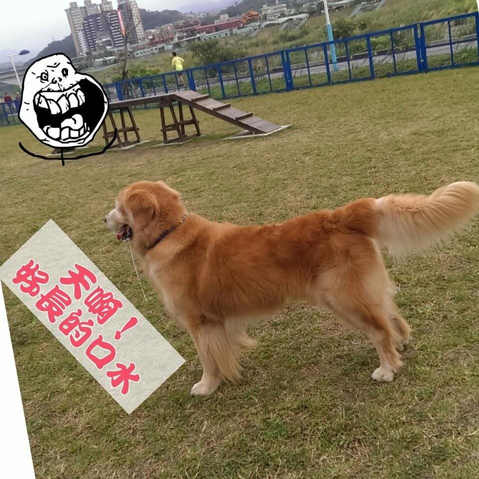 我本善良◖⚆ᴥ⚆◗📚