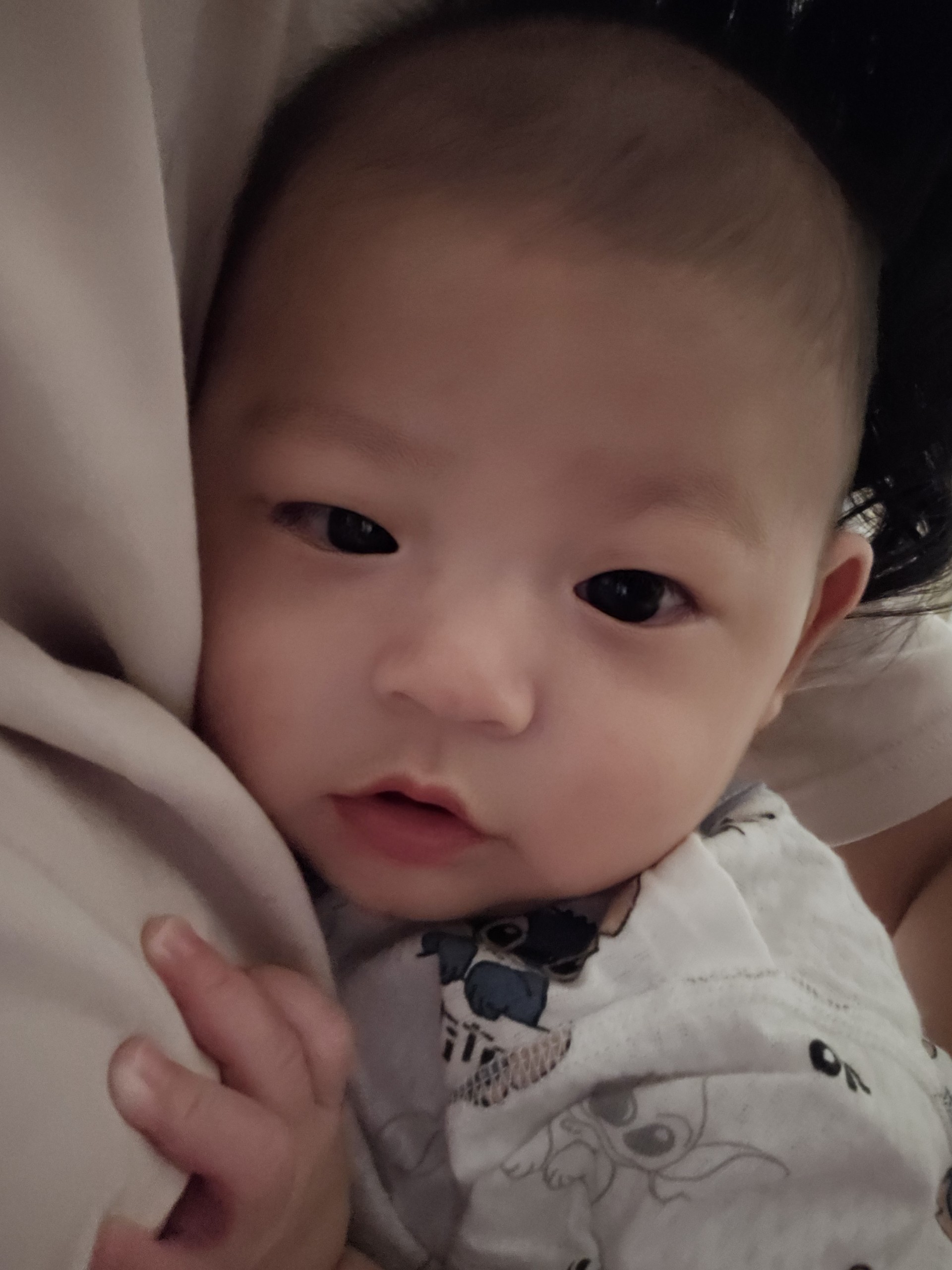 🐶🦝Ⓒ露露炭吉Ⓟ😺🐮