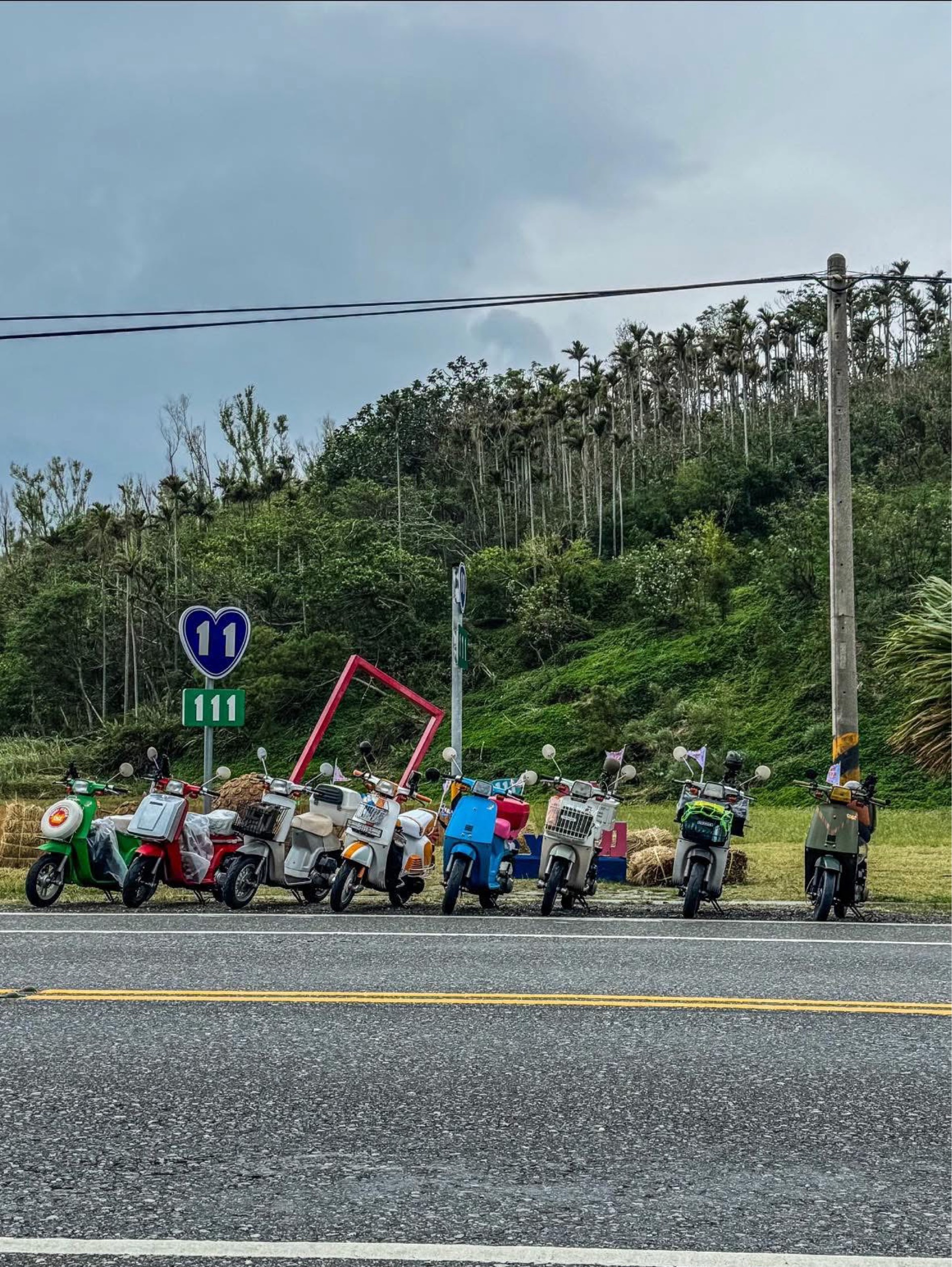 荃🏍ᴿᵒᵇⁱⁿ  🏍ᴿᵒ Jo登😺😺貓