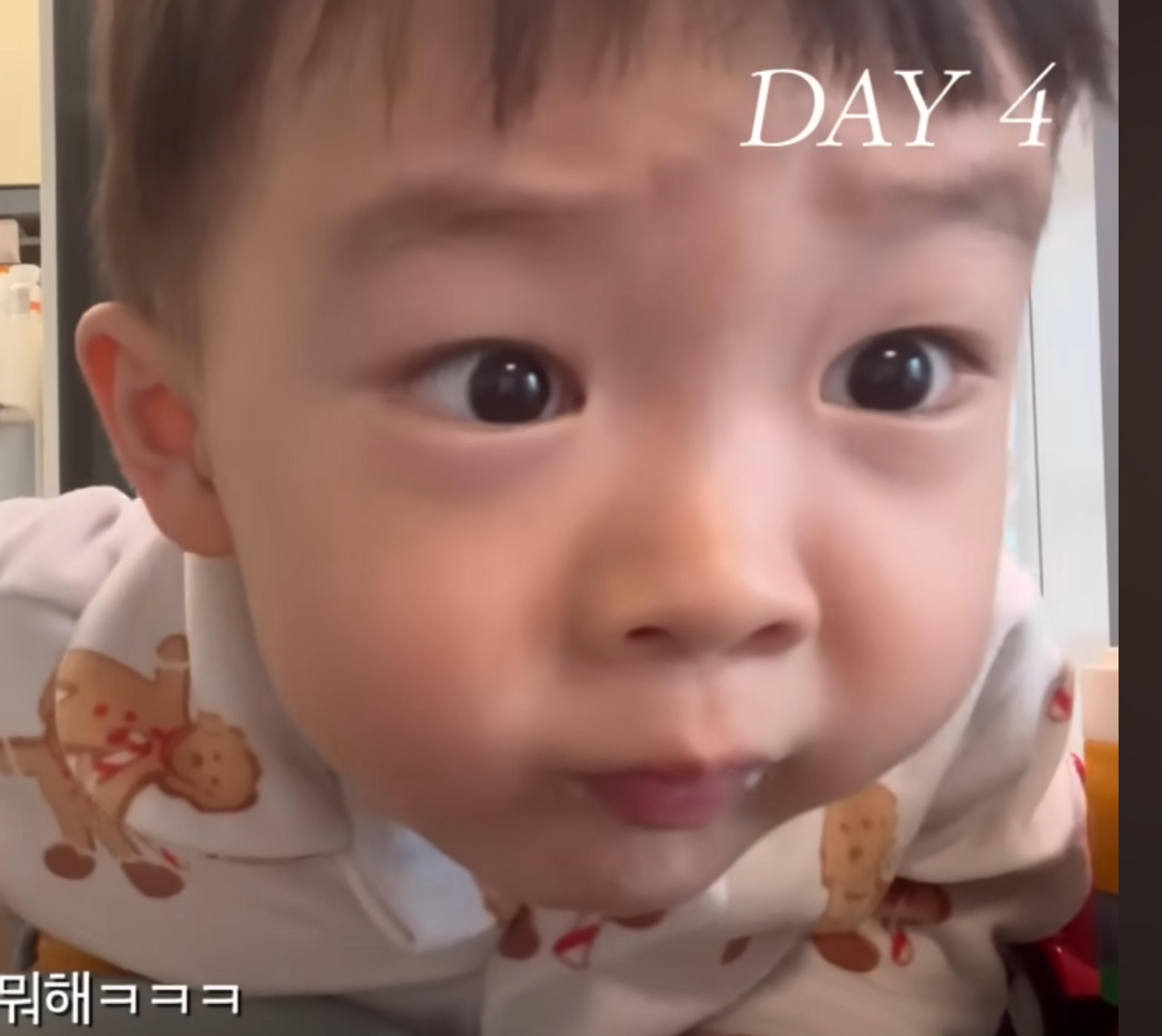 鼻環🐹智愛🐹